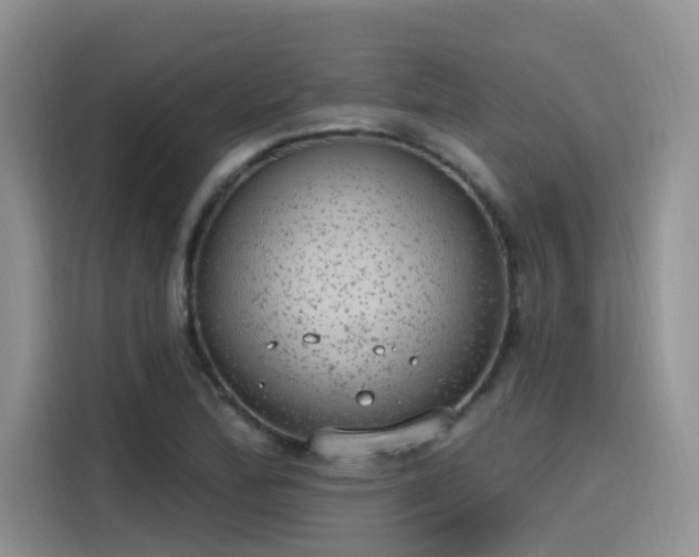 X0000115631172200911171330