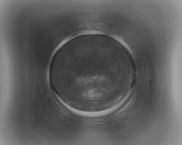 X0000115631173200911171330