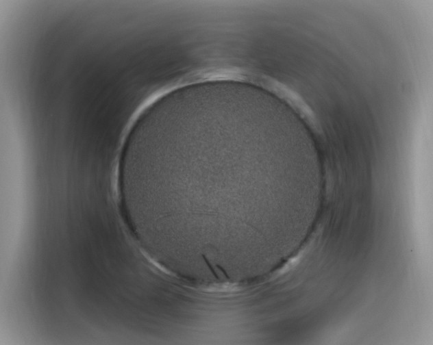 X0000115631174200911171330