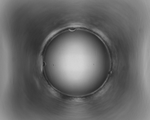 X0000115631175200911171330