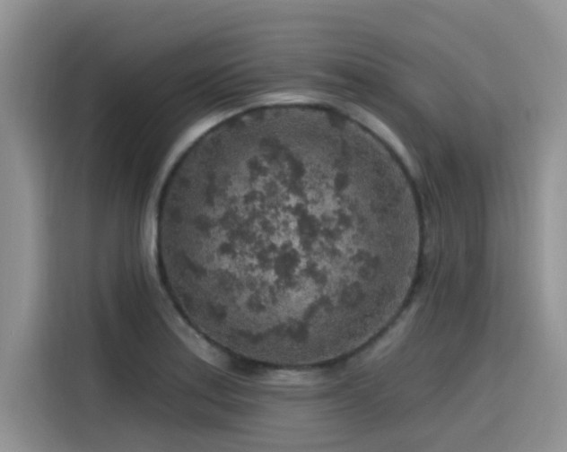 X0000115631179200911171330