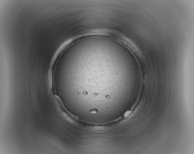 X0000115631180200911171330