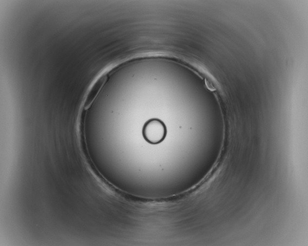 X0000115631181200911171330