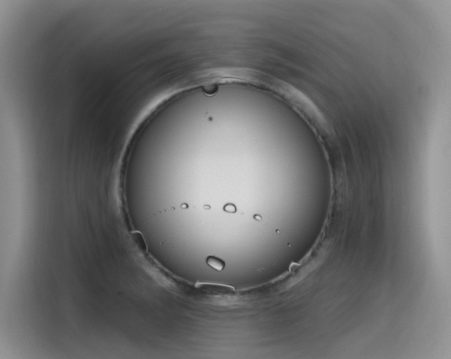 X0000115631182200911171330
