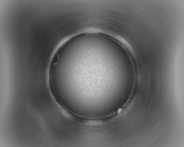 X0000115631183200911171330
