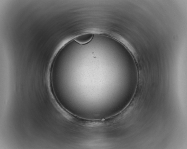 X0000115631187200911171330
