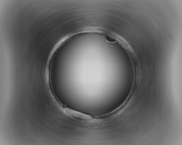 X0000115631188200911171330