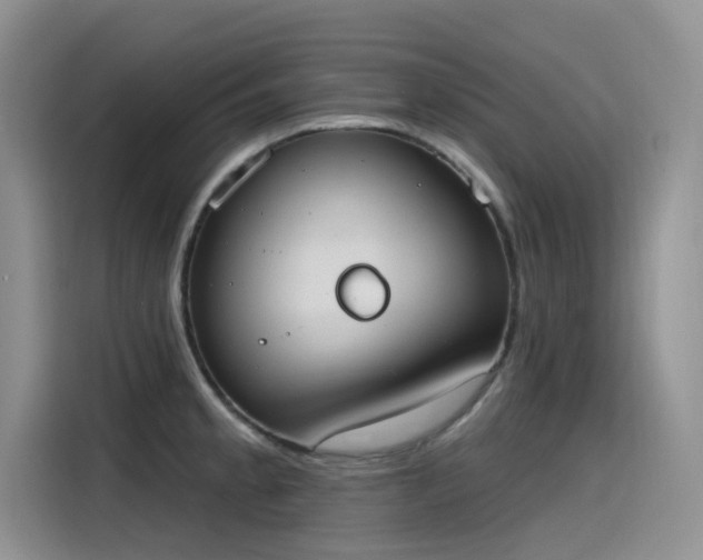 X0000115631189200911171330