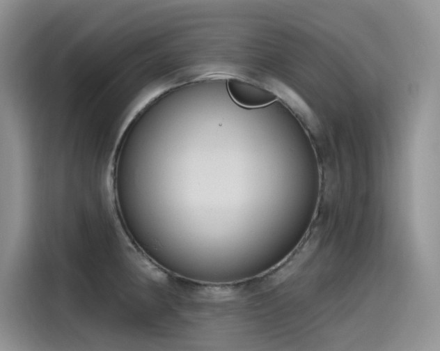 X0000115631190200911171330