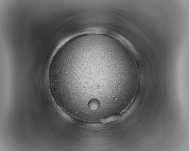 X0000115631192200911171330