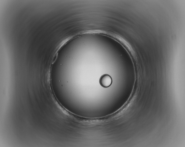 X0000115631193200911171330