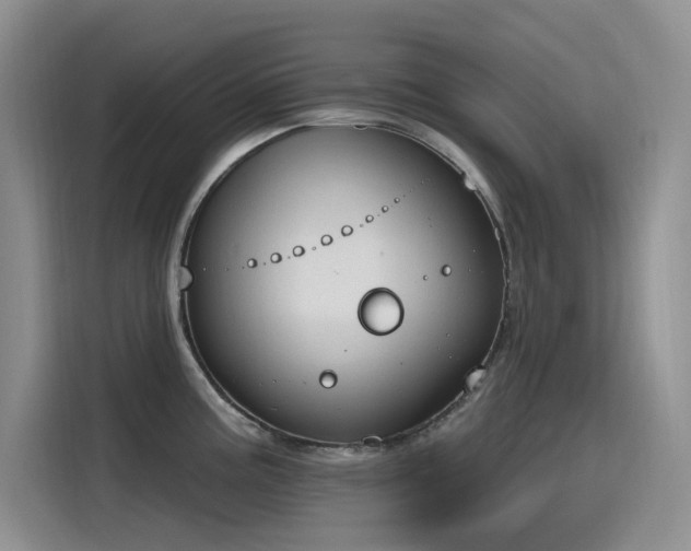X0000115631195200911171329