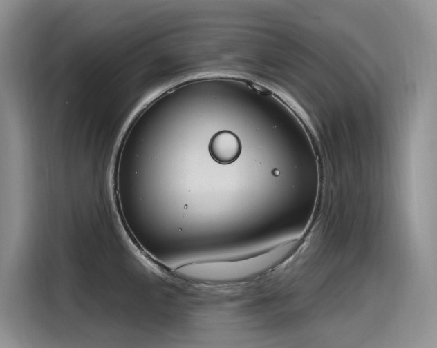 X0000115631197200911171329