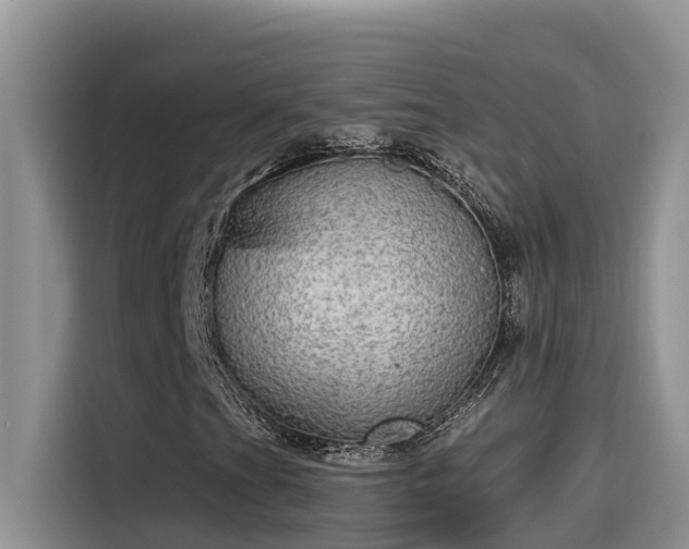 X0000115631201200911171329