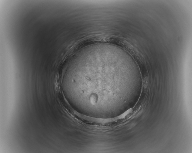 X0000115631202200911171329