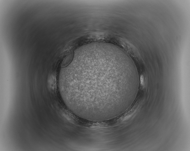 X0000115631203200911171329