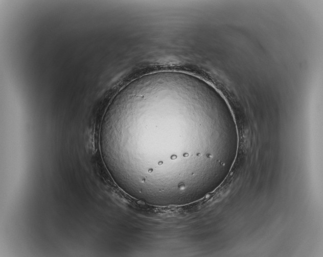 X0000115631205200911171329