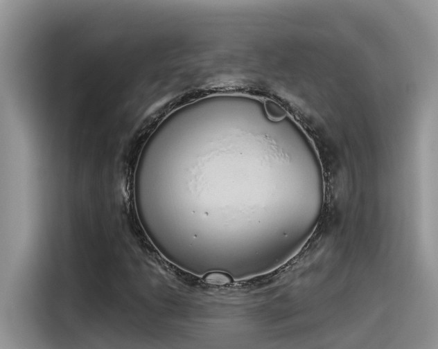 X0000115631206200911171329