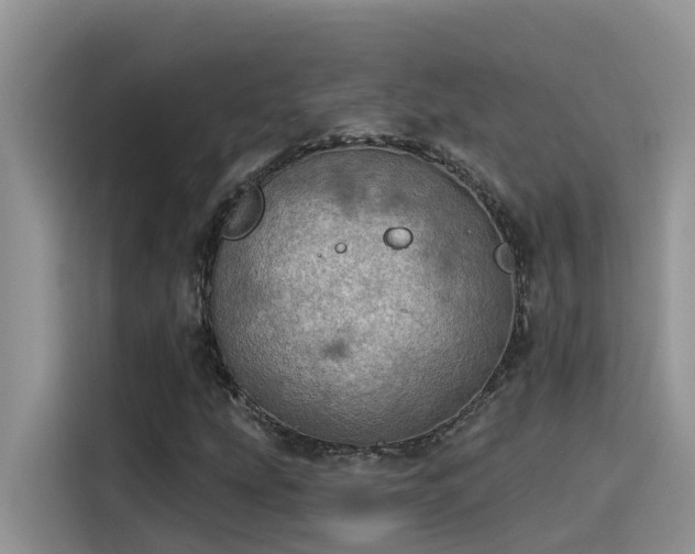X0000115631207200911171329