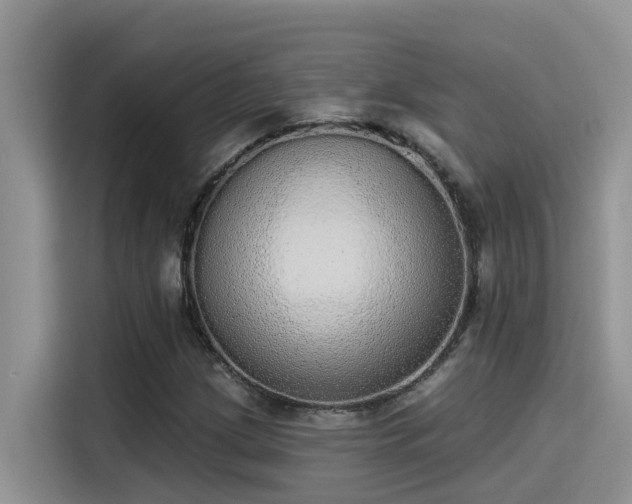 X0000115631209200911171329