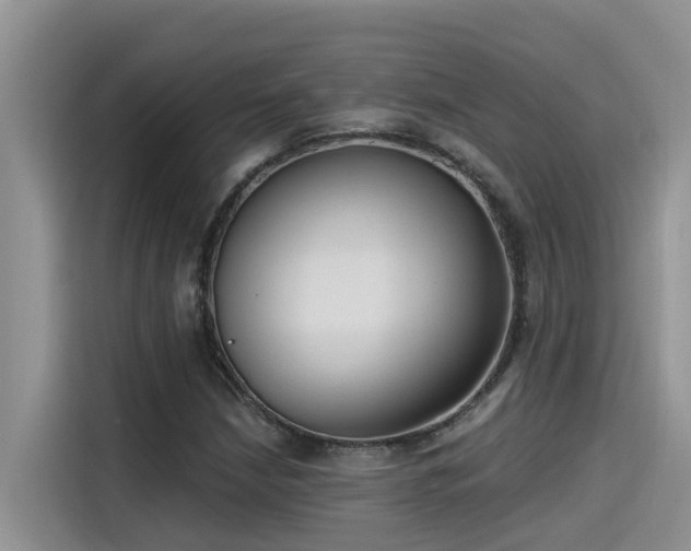 X0000115631210200911171329