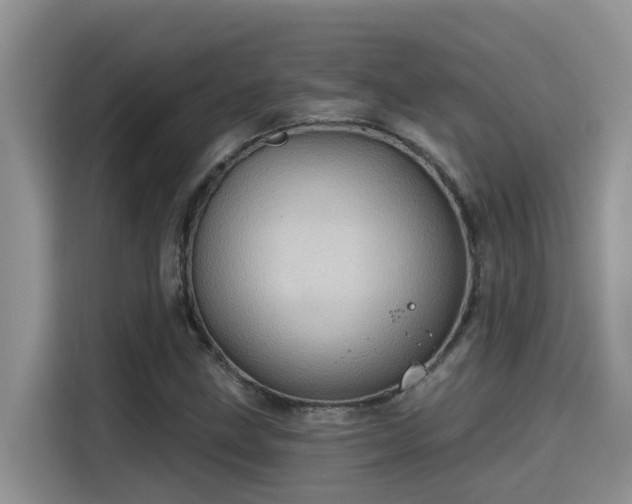 X0000115631211200911171329