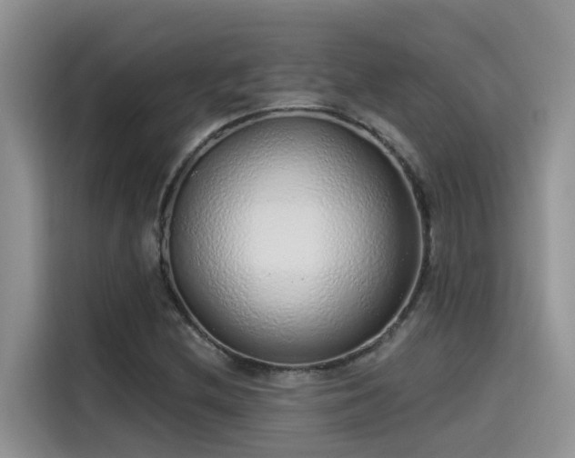 X0000115631212200911171329