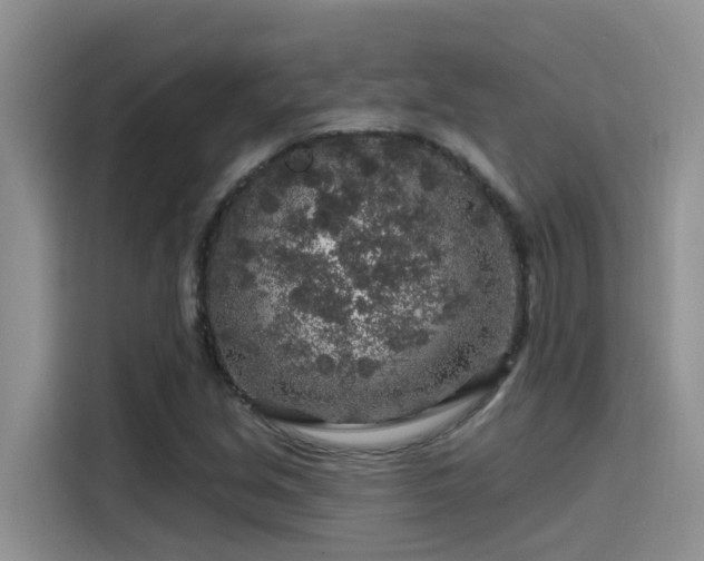 X0000115631213200911171329