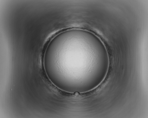 X0000115631214200911171329