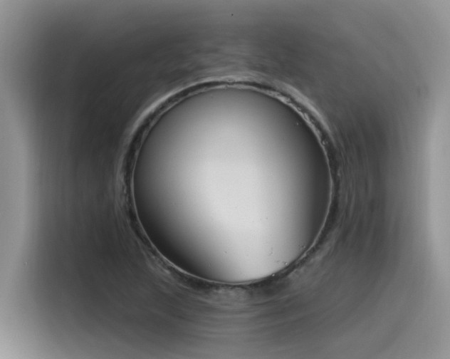 X0000115631215200911171329