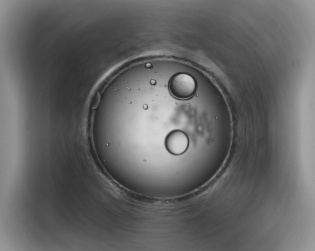 X0000115631216200911171329