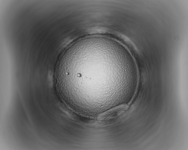 X0000115631217200911171329