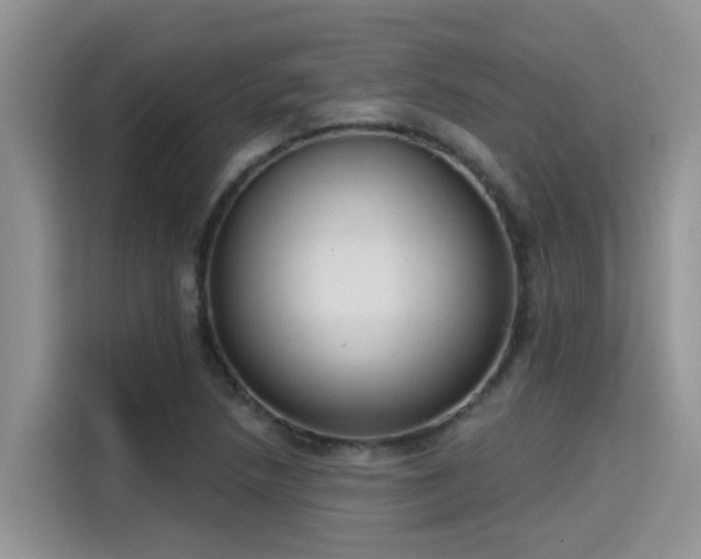 X0000115631218200911171329