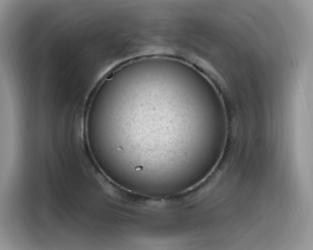X0000115631220200911171329
