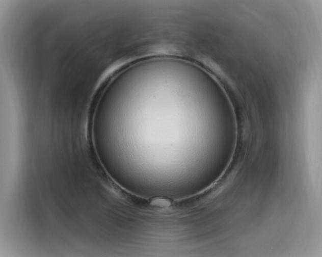 X0000115631222200911171329