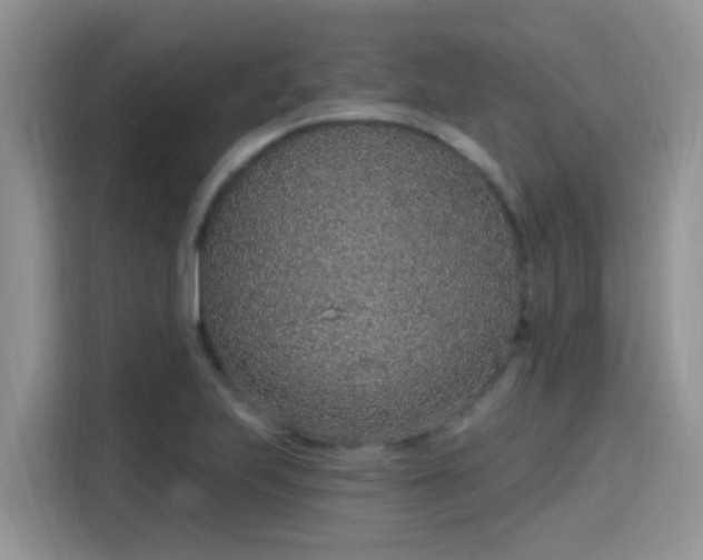 X0000115631223200911171329