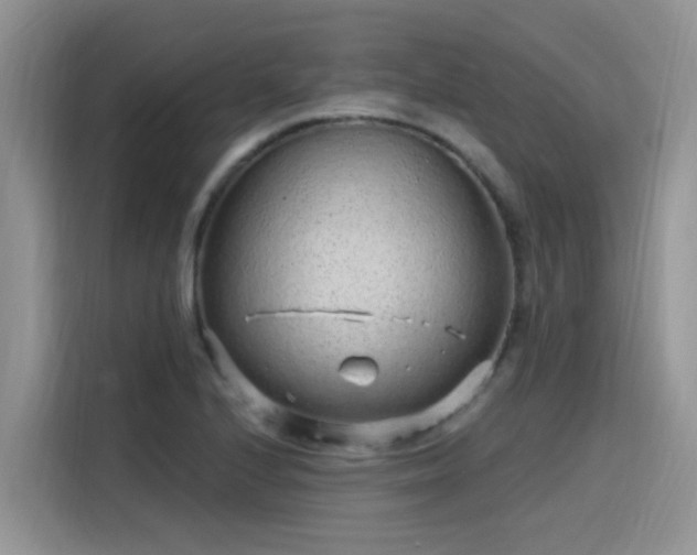 X0000115631224200911171329