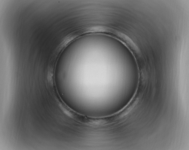 X0000115631225200911171329