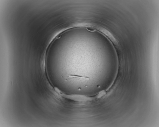 X0000115631228200911171329