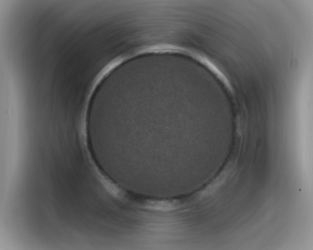 X0000115631229200911171329