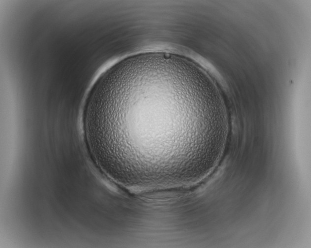 X0000115631230200911171329
