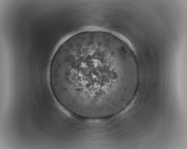 X0000115631231200911171329