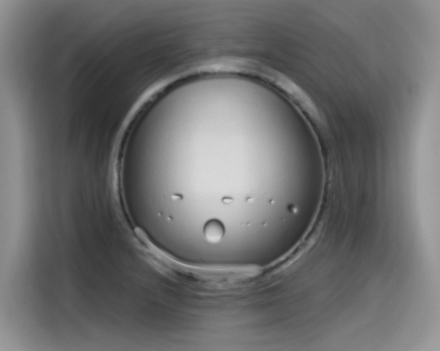 X0000115631232200911171329