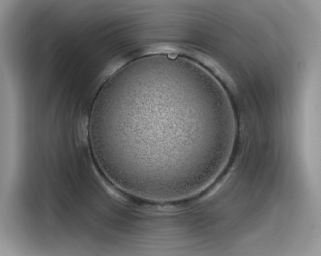 X0000115631233200911171329