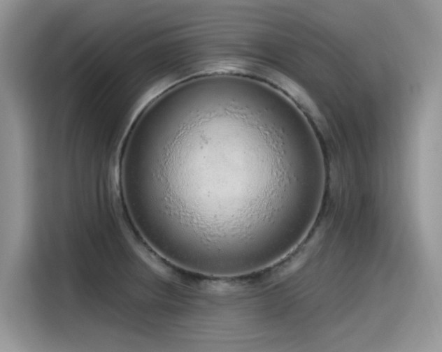 X0000115631234200911171329