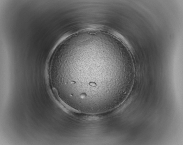 X0000115631235200911171329