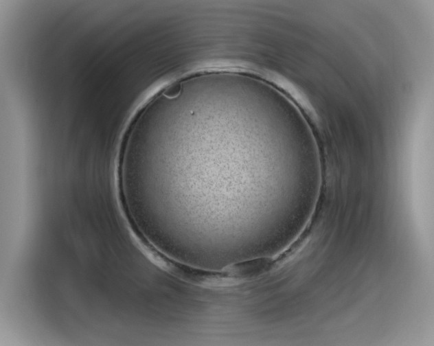 X0000115631237200911171329