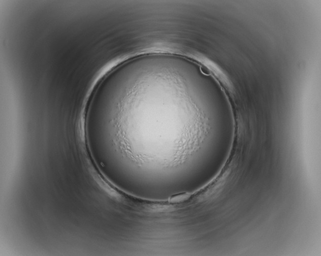 X0000115631238200911171329