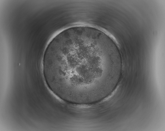 X0000115631239200911171329