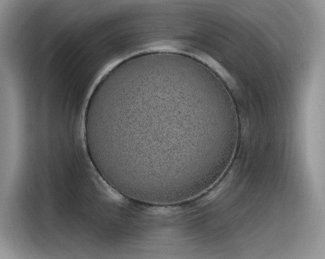 X0000115631240200911171329